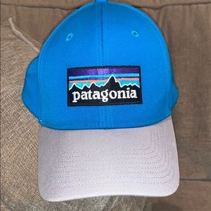 Patagonia Blue and Silver Hat